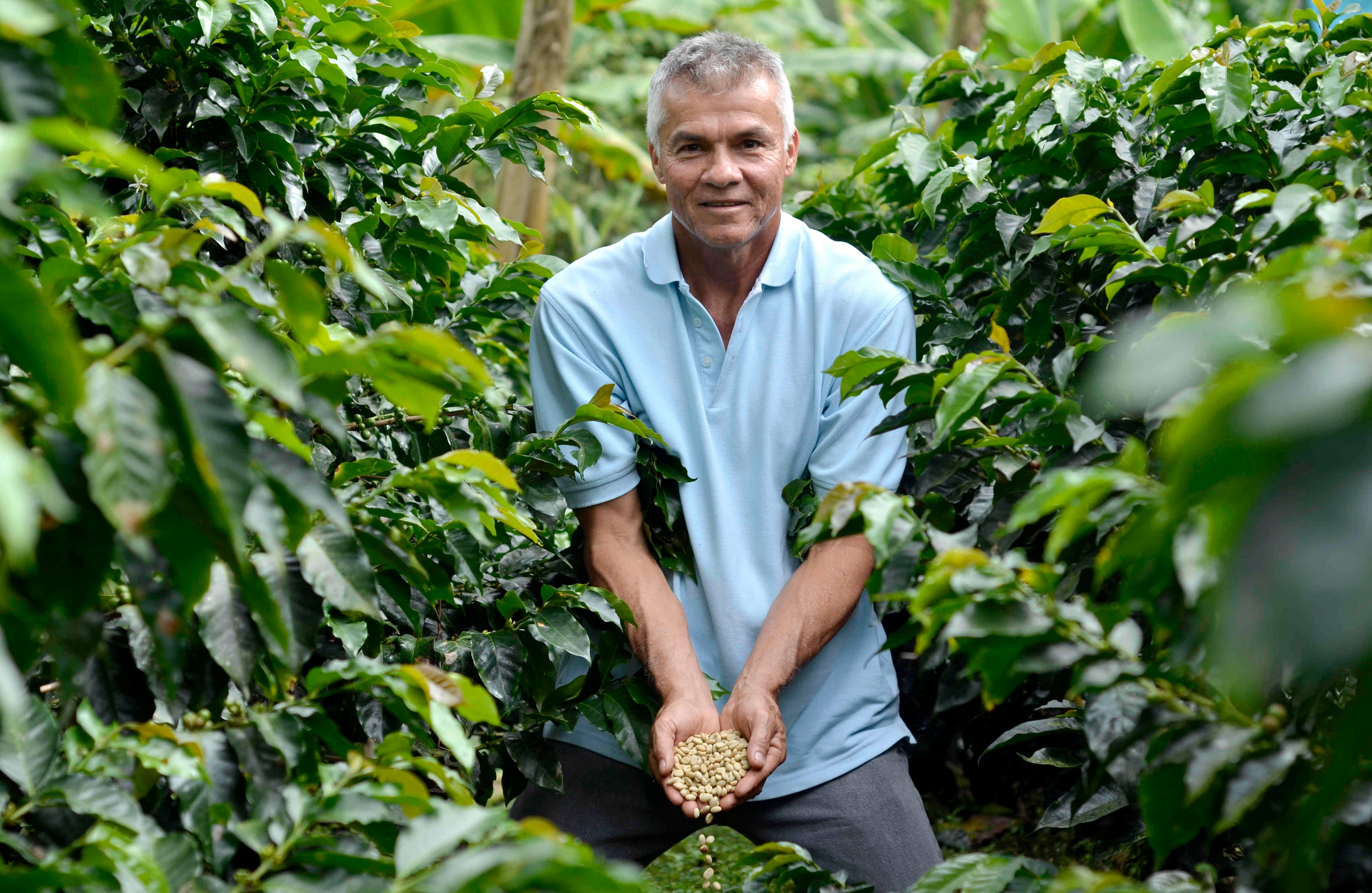 La energía es el servicio al que más tienen acceso los campesinos. Según las Unidades Productivas censadas, 82,2 por ciento tenían servicio de energía; 6 por ciento de alcantarillado; 42,5 por ciento al acueducto y 15,7 por ciento a ninguno de los servicios básicos.
