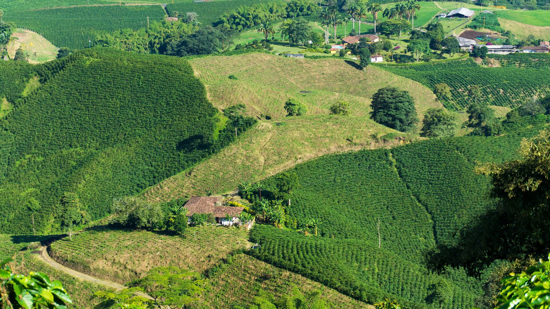 La construcción de la pista inicia en 2021 con 75% de los recursos del Gobierno nacional y 25% de la región.