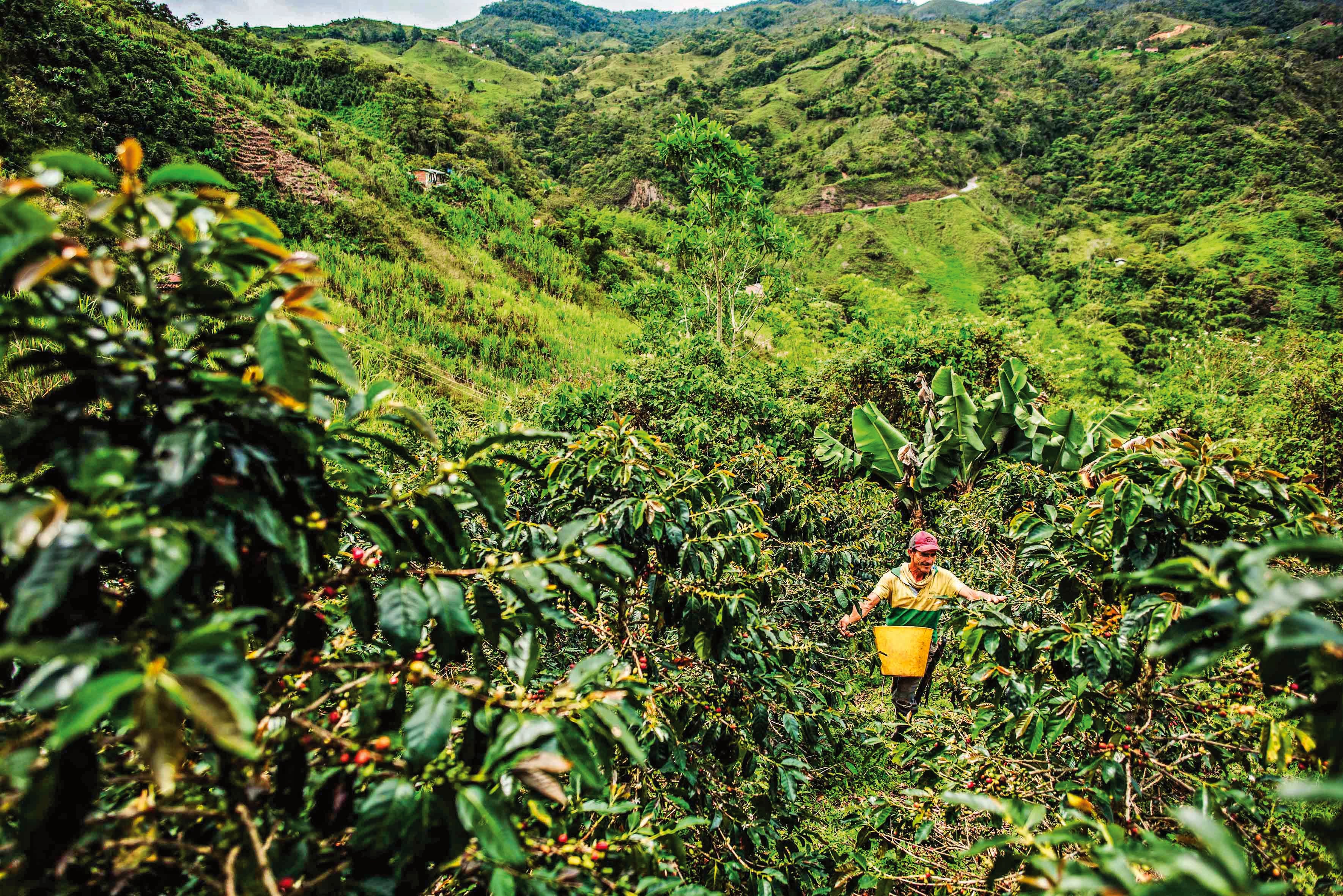 El suroeste de Antioquia ofrece experiencias que van desde el ecoturismo y la ruta cafetera hasta la arqueología y los deportes extremos.