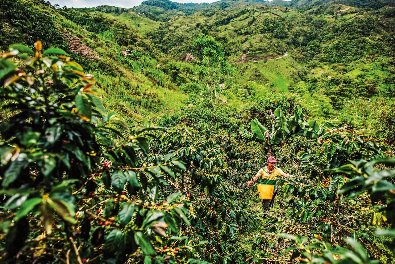 El suroeste de Antioquia ofrece experiencias que van desde el ecoturismo y la ruta cafetera hasta la arqueología y los deportes extremos.