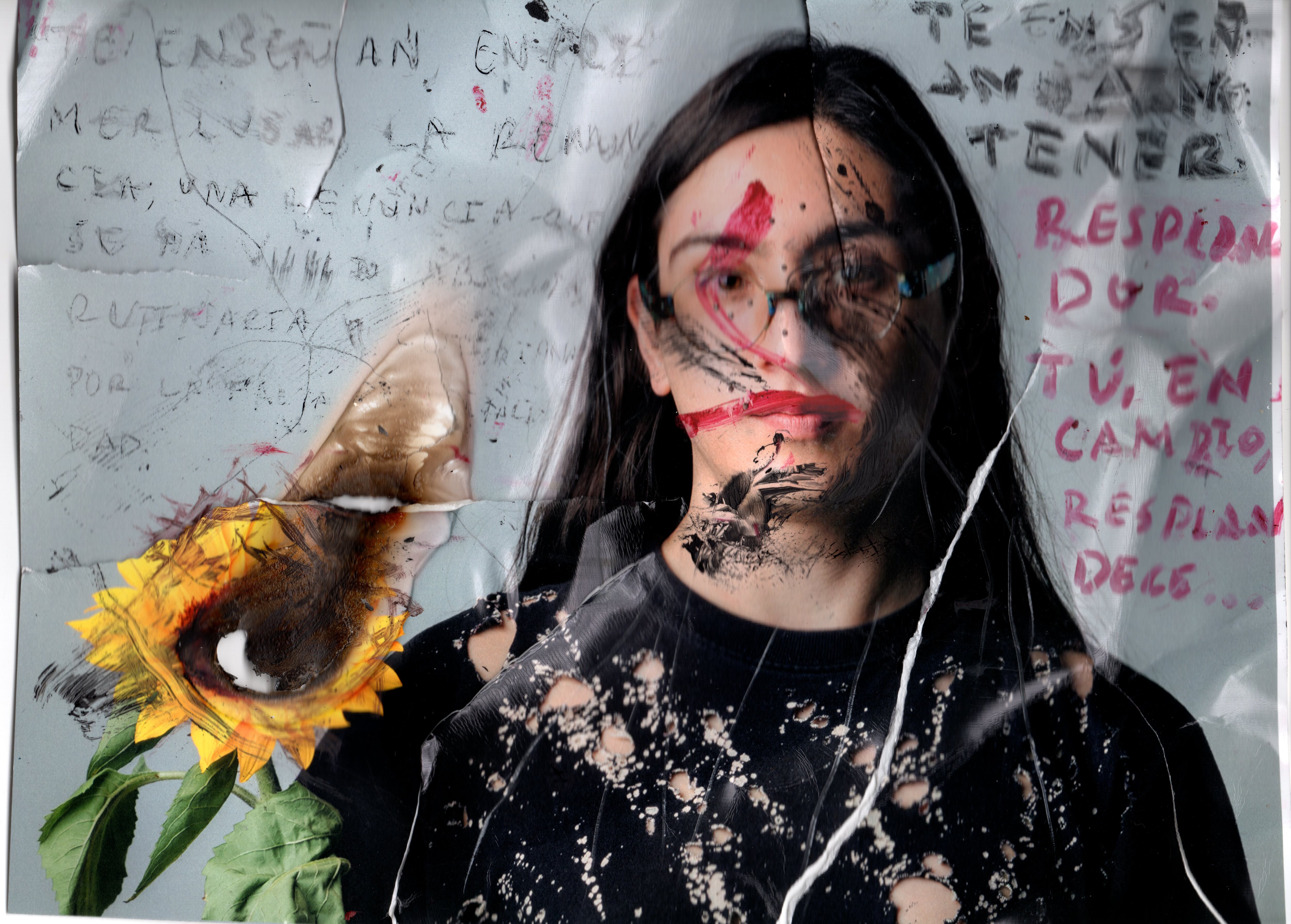 Camilo Falla - Higo sin fruto