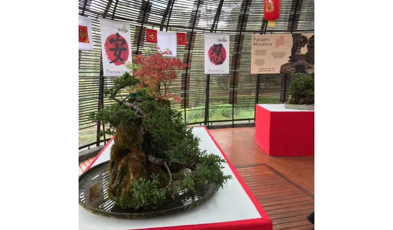 El origen de este arte está en la antigua China