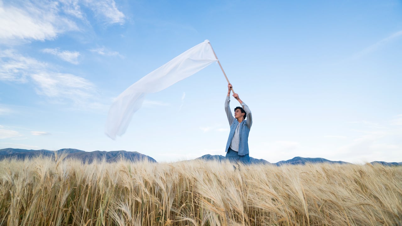 Bandera de paz (imagen de referencia).