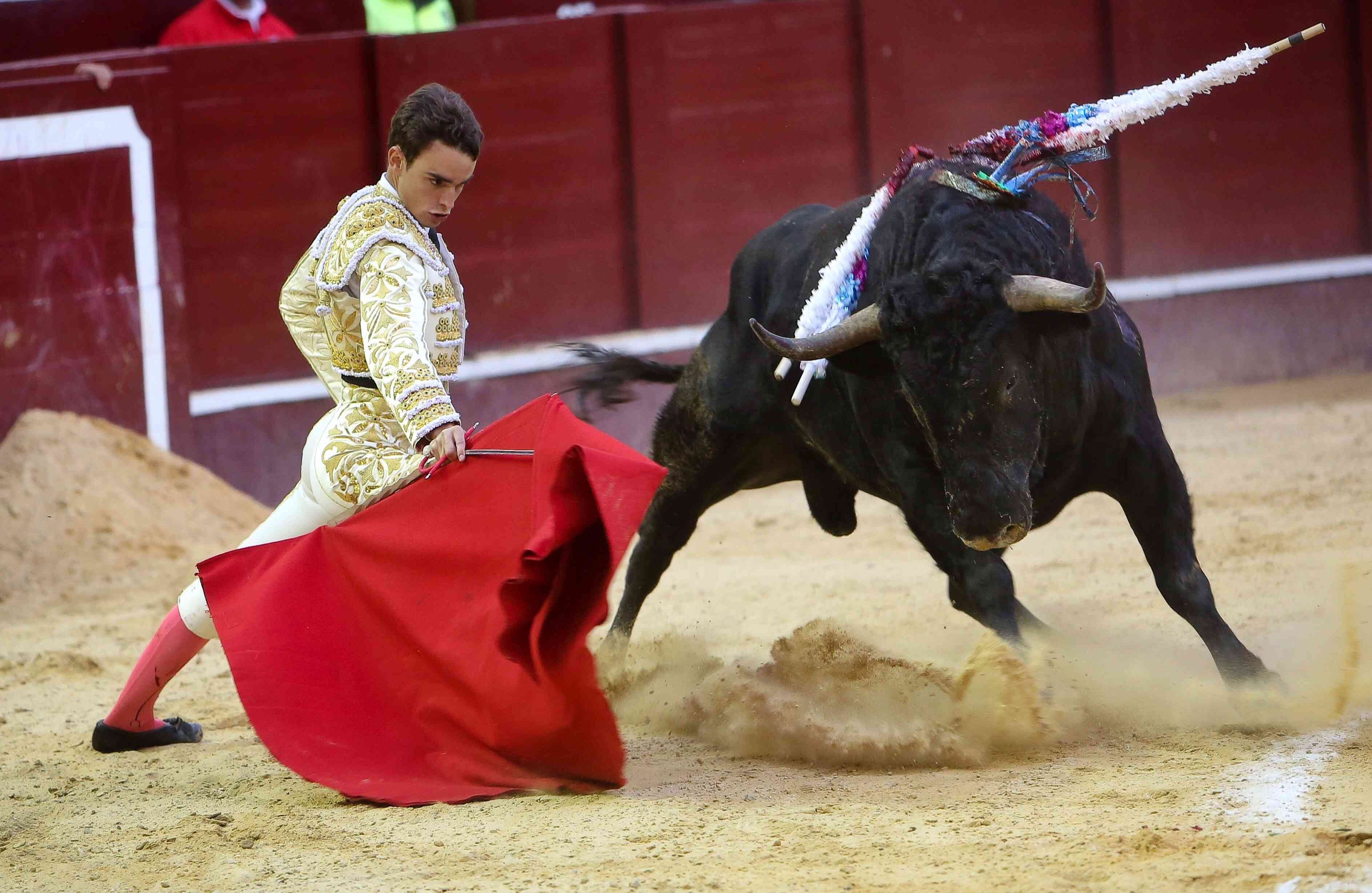 Luis Miguel, torero colombiano. (Esteban Vega/SEMANA)