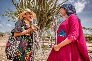 GEB y sus filiales reducirán en 51 por ciento sus emisiones a 2030.