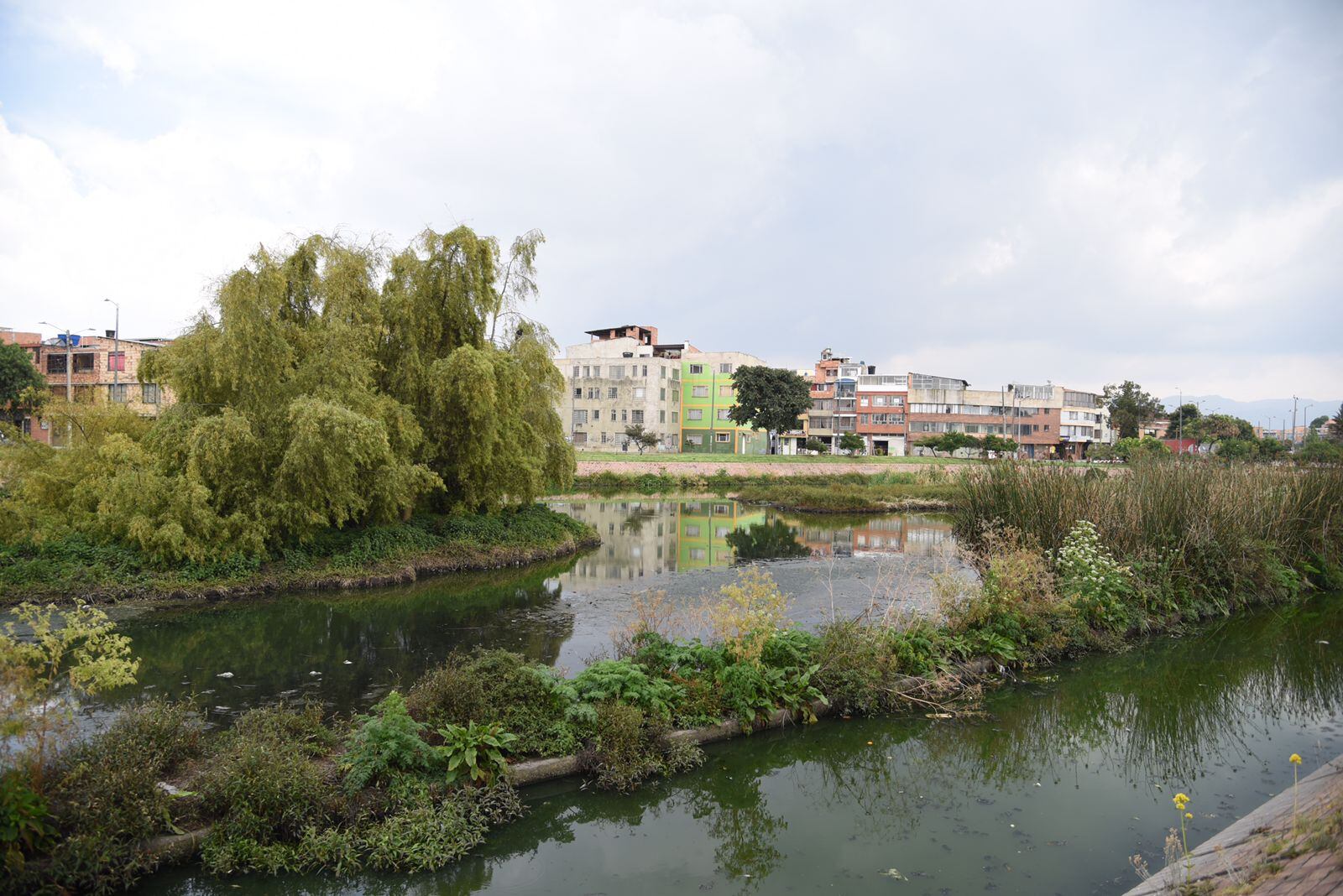 La Corte Suprema de Justicia ratificó la nulidad de las escrituras de los predios La Providencia, que se encontraba a nombre de un privado, demostrando que este espacio hace parte del Humedal Jaboque.