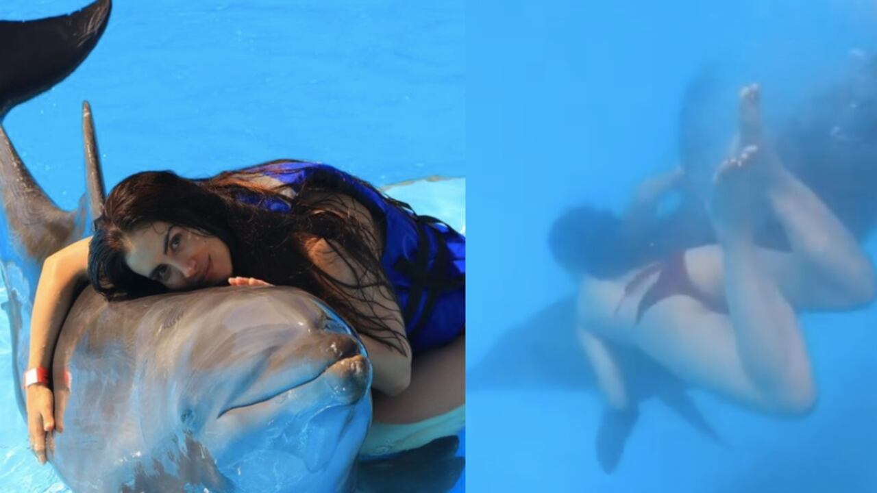 Jessica Cediel en su interacción con un delfín.