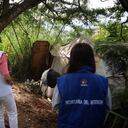 El predio está ubicado entre los barrios Bucaramanga y Ciudad Bolívar.