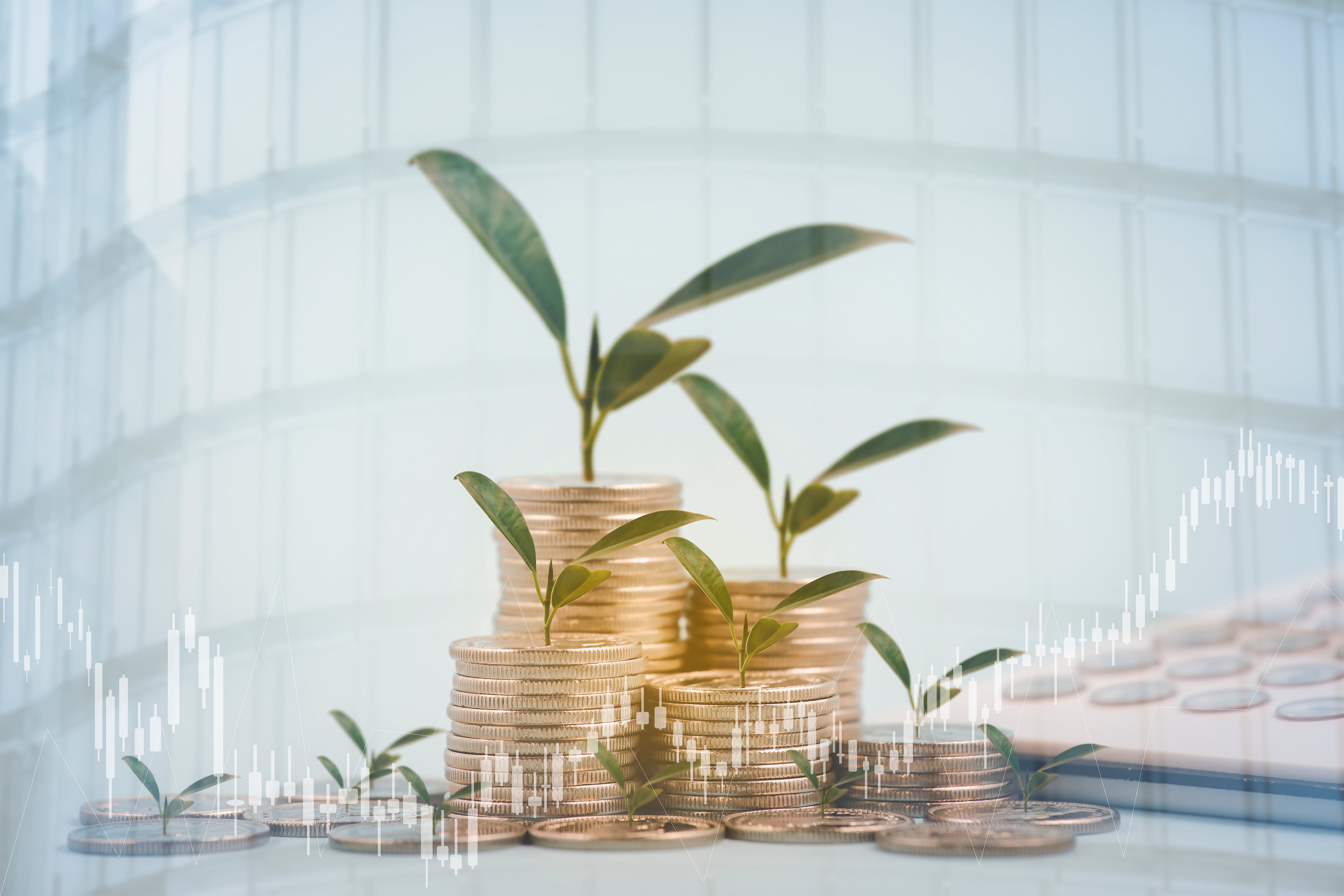 Los resultados presentados por las empresas evidencian que el sector productivo está creciendo y que el consumo de los hogares ha mejorado.