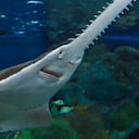 El informe fue publicado el miércoles de esta semana. Foto: Getty Images.