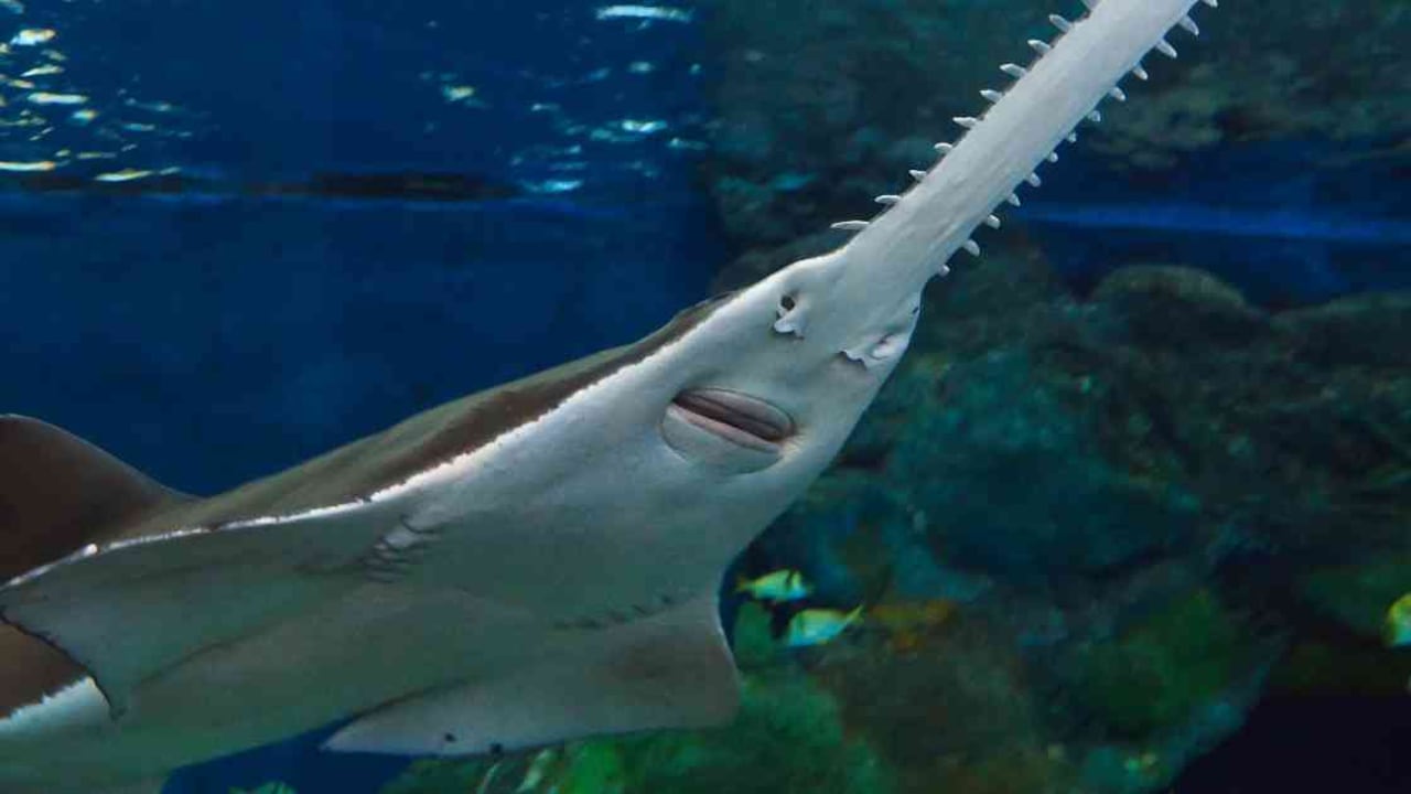 El informe fue publicado el miércoles de esta semana. Foto: Getty Images.