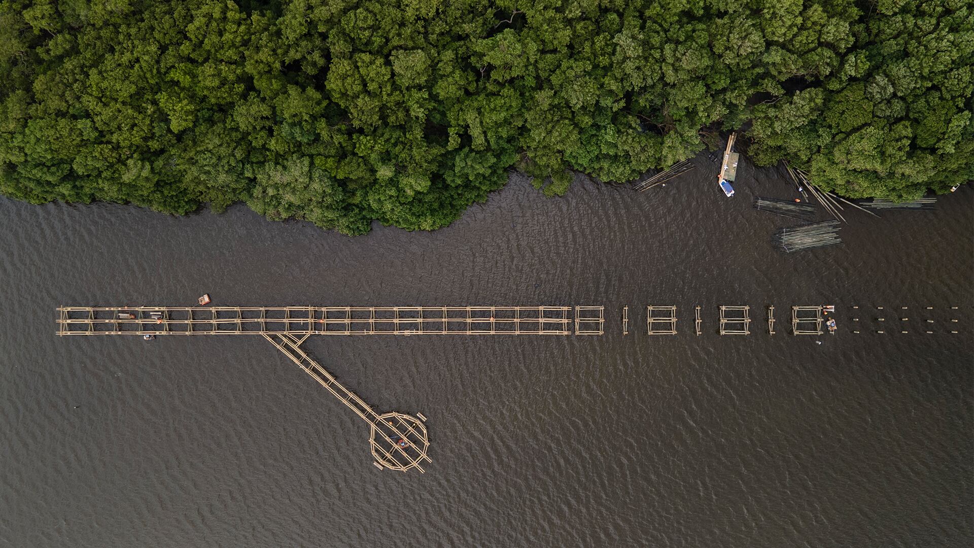 NO USAR, USO EXCLUSIVO MEJOR COLOMBIA, Especial Caribe, Barranquilla Verde