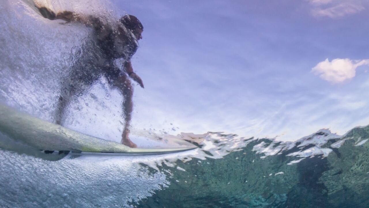 Los surfistas son deportistas que se ven amenazados en algunas ocasiones por los tiburones