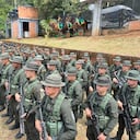 100 uniformados de la Policía de Carabineros llegan al Valle del Cauca a reforzar la seguridad para la COP16.