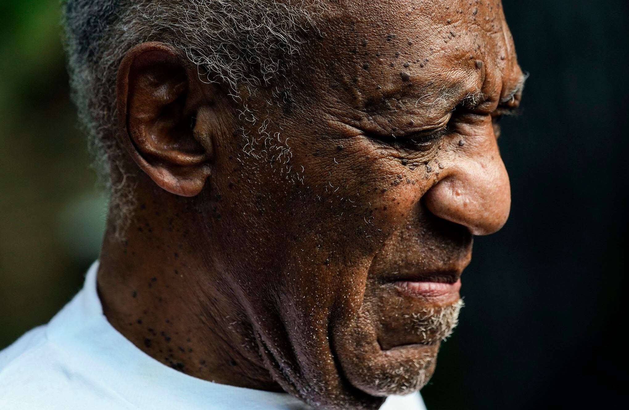 Galería de la semana