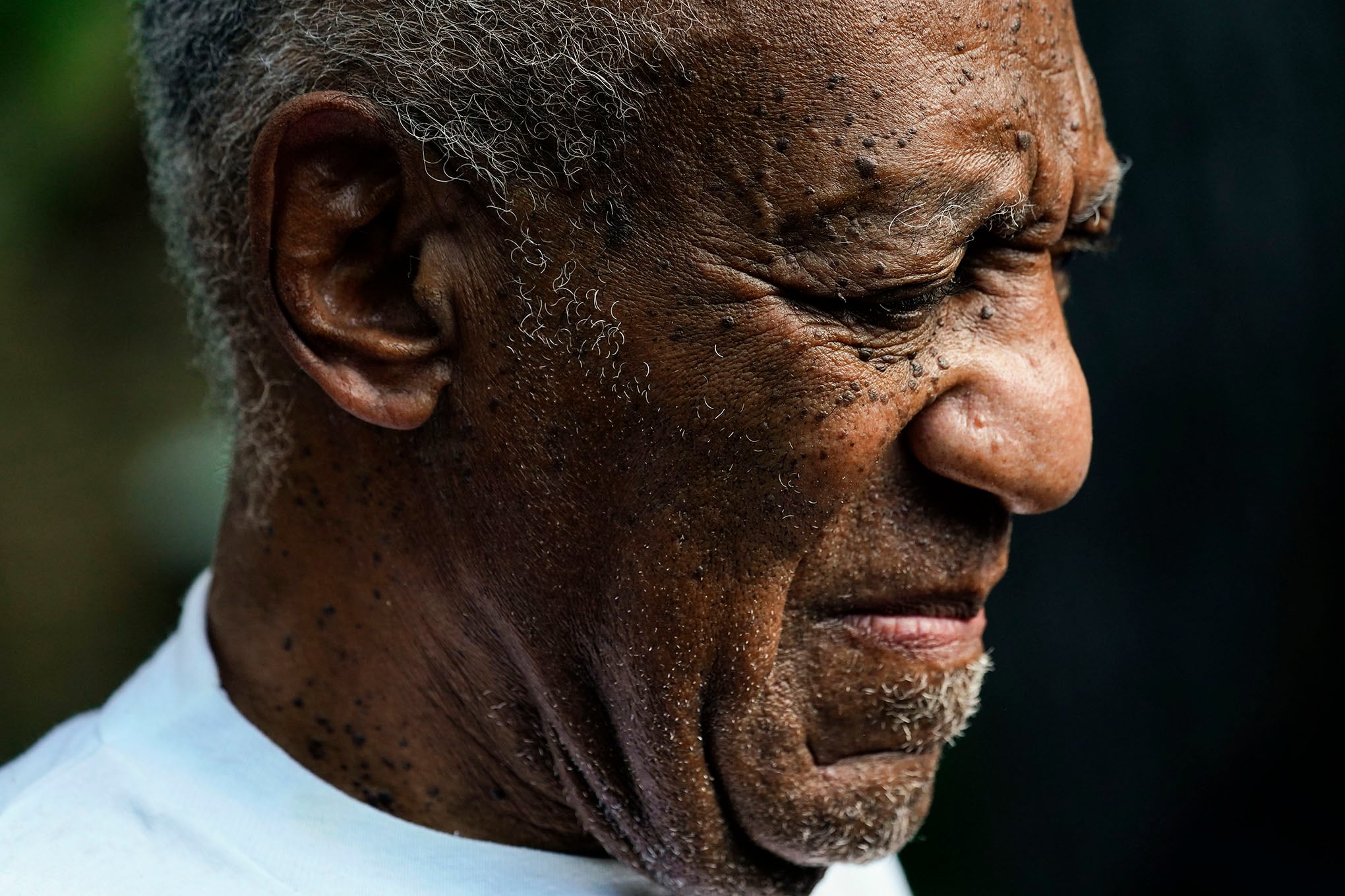 Galería de la semana