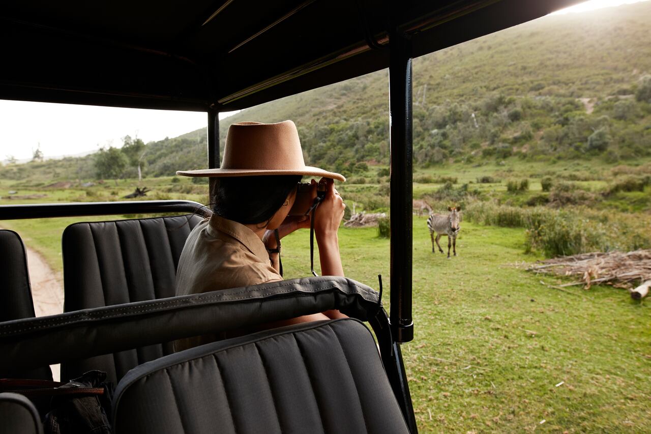 Safari en África