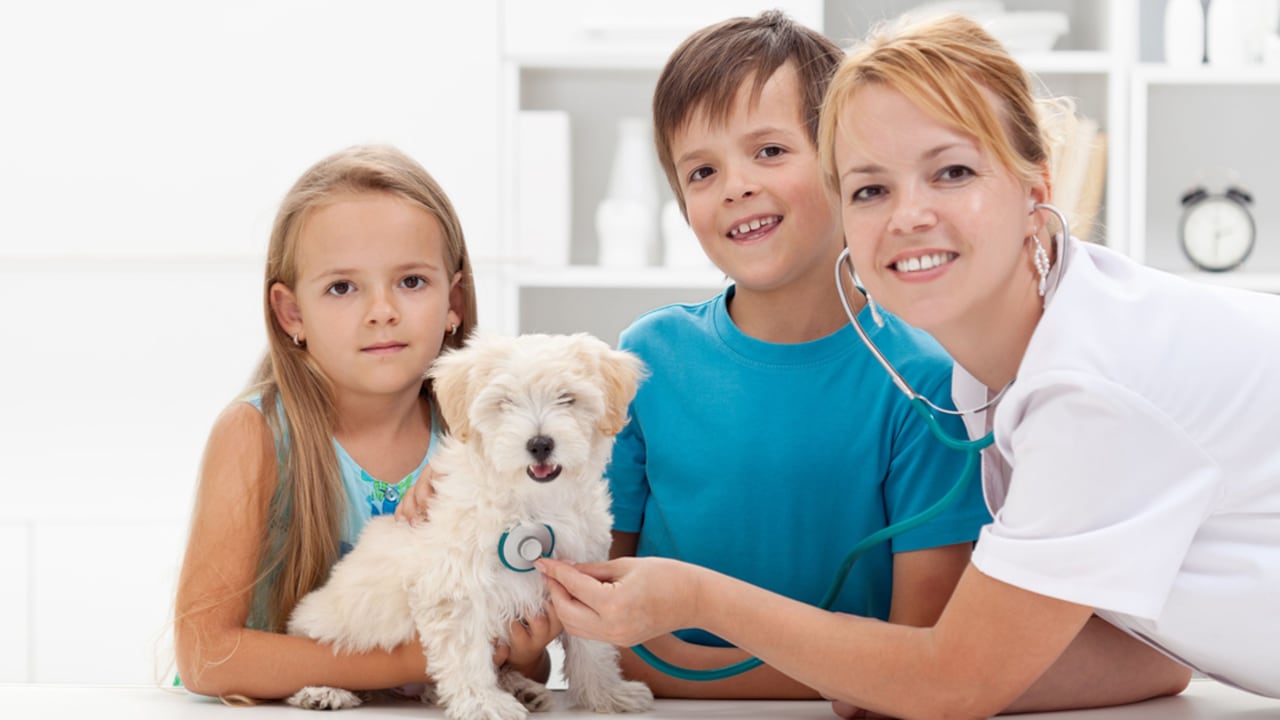 Brindarle todo el amor a tu mejor amigo no solo se refleja en cómo lo consientes, sino también en cómo lo cuidas. Con base en este concepto nace la medicina prepagada para mascotas. Entérate en qué consiste este servicio y por qué deberías tenerlo en cuenta.