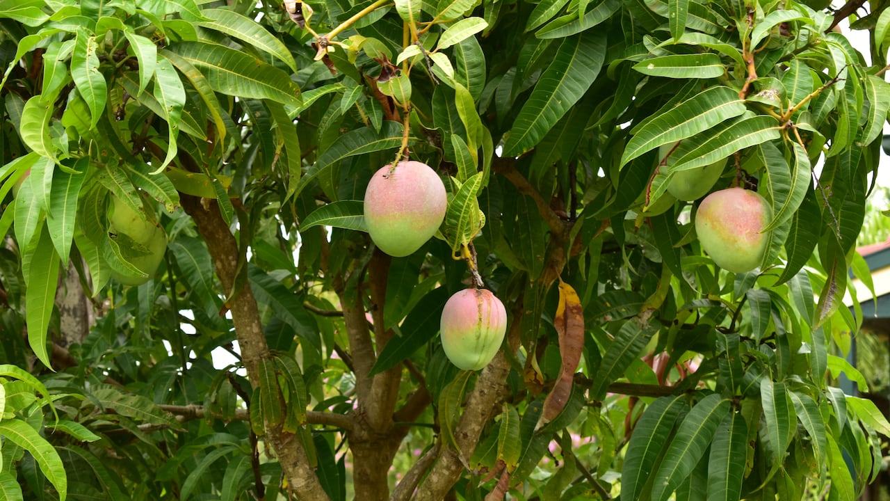 Su cercanía con Valledupar lo convierte en un destino imperdible en el Cesar.