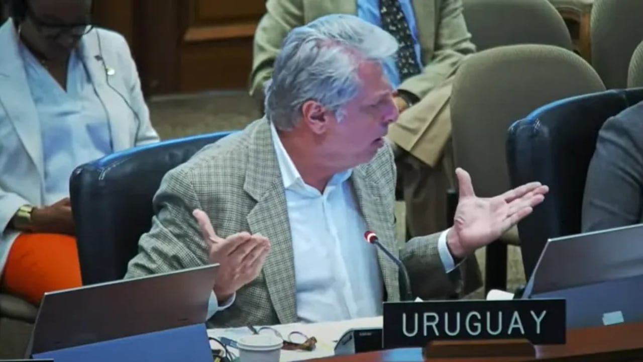 La OEA hizo una sesión extraordinaria por la situación de Venezuela.