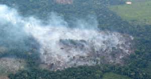 Incendios al interior del Resguardo Nukak en Guaviare captados en un sobrevuelo el 16 de marzo. Foto: Rodrigo Botero.