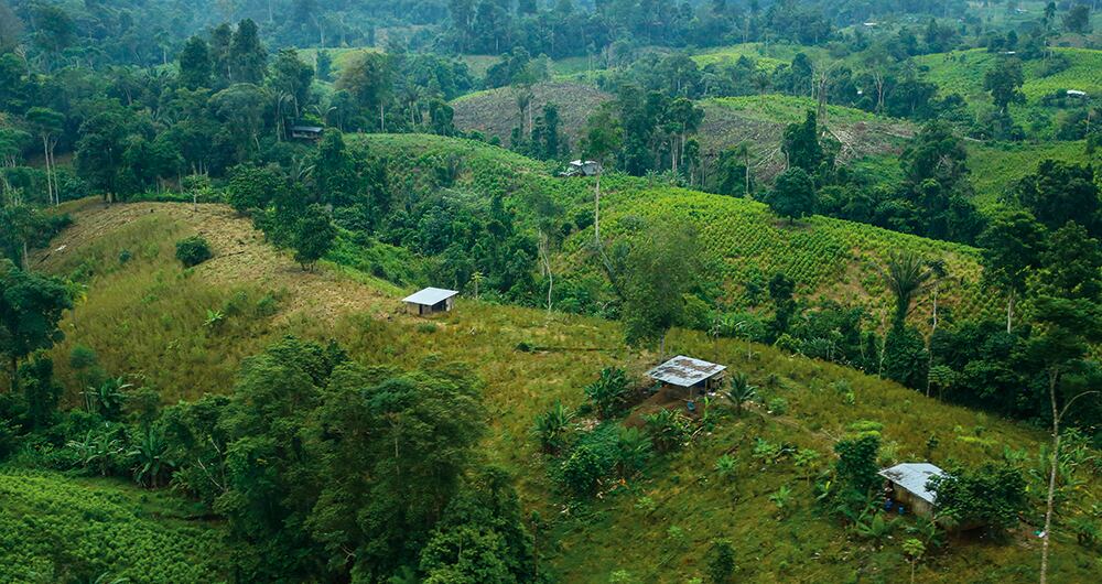 La frontera tiene pasos porosos, selváticos y fangosos que dificultan una presencia permanente de la fuerza pública de ambos países. 