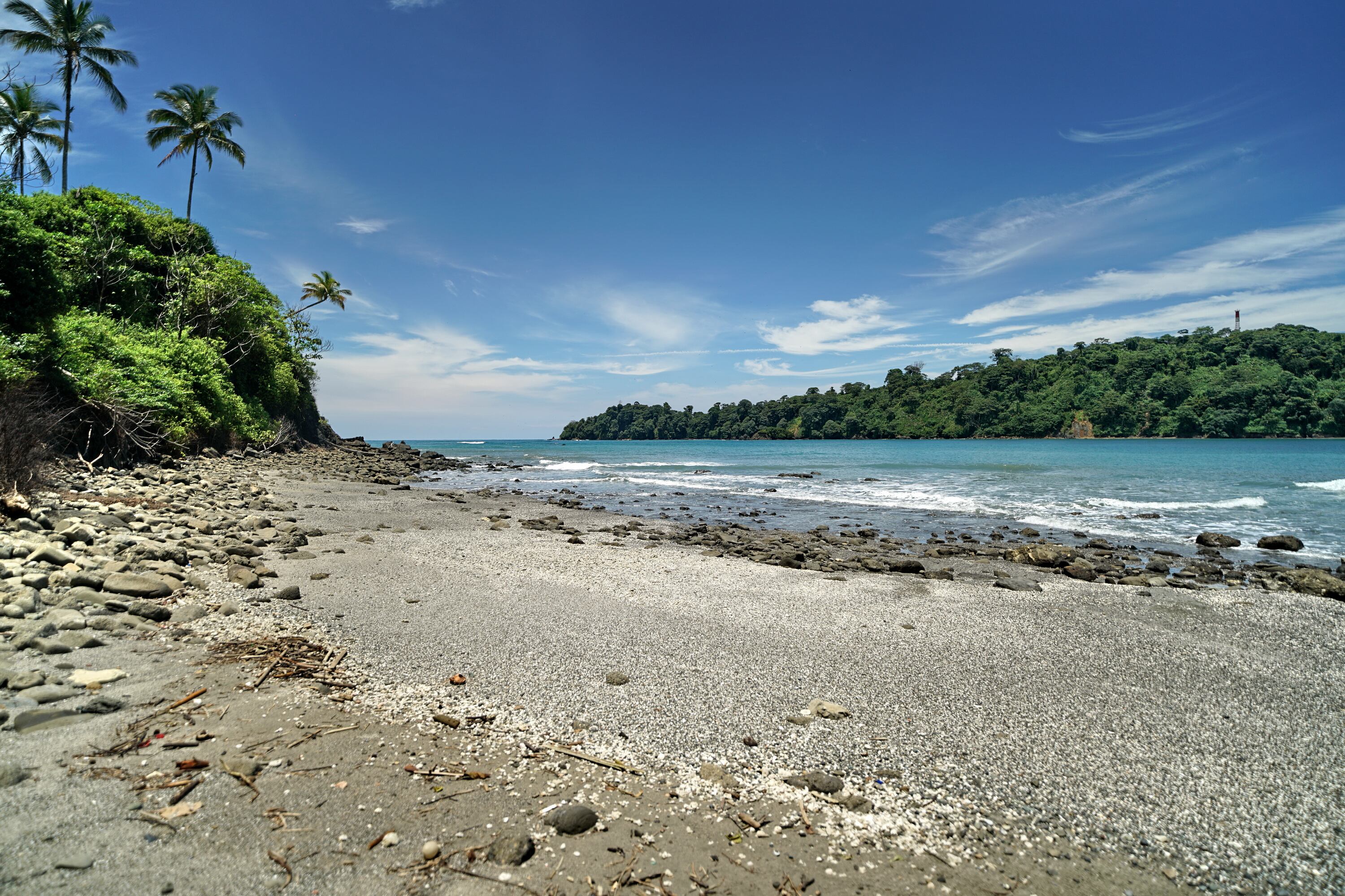 P.N.N. Isla Gorgona forma parte de una de las 59 áreas protegidas del sistema de PNN de Colombia. Está conformado por dos islas (Gorgona y Gorgonilla). Está ubicada a 28 km al oeste de la costa del Pacífico Colombiano. Pertenece al municipio de Guapi departamento del Cauca. Fue descubierta por Bartolomé Ruiz​ en 1526. Se le da este  nombre debido a que la gran cantidad de serpientes en la isla que le recordaban a las Gorgonas de la mitología griega, quienes, en lugar de cabellos, llevaban serpientes. 29 de septiembre de 2024. Foto Jorge Orozco / El País.