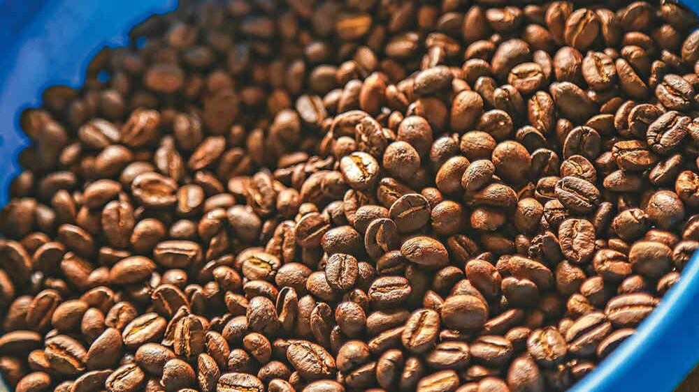 El consumo de café local en establecimientos especializados se ha convertido en una tendencia en Santa Marta.