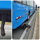 Hallan a habitante de calle durmiendo bajo el chasis de un bus del MIO en Cali.