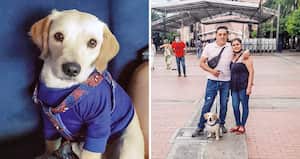 La familia ha publicado fotos con Justin para probar que la mascota es de ellos. Dicen que su niño de 13 años está desconsolado, pues se trata, además, de un perro de soporte emocional. “Es su hermano... duermen juntos”, le dijo a SEMANA.