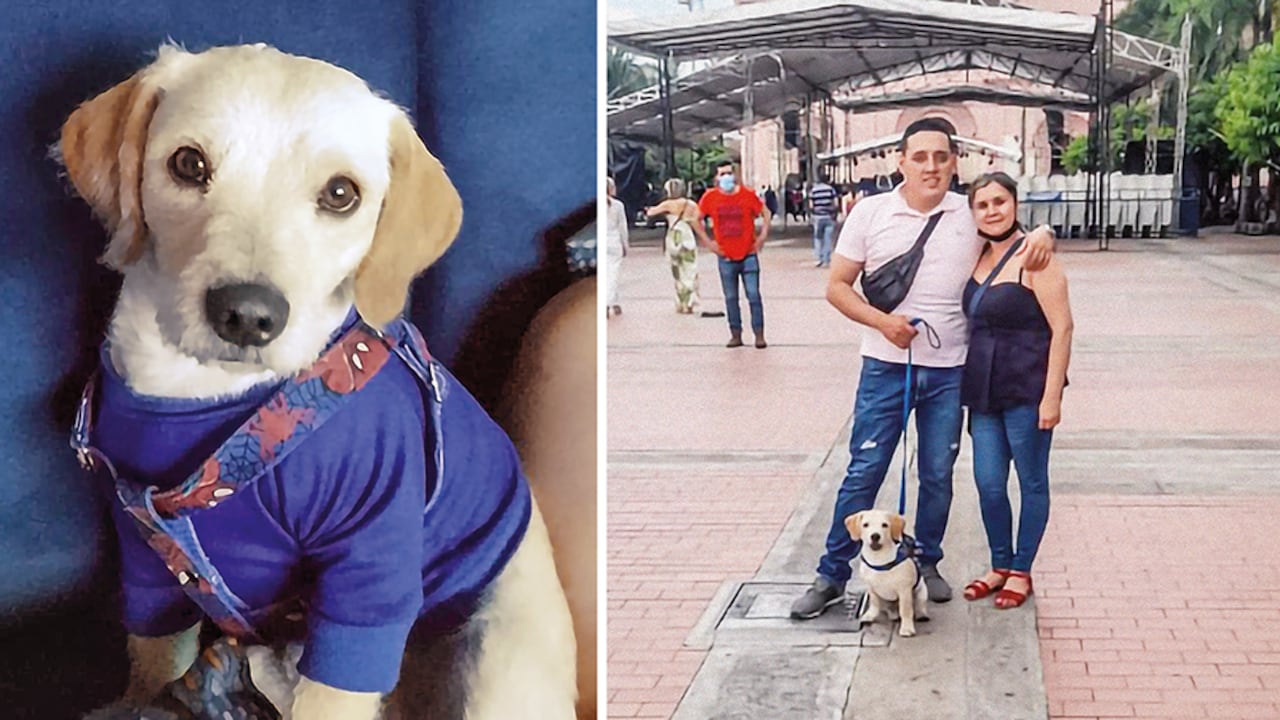 La familia ha publicado fotos con Justin para probar que la mascota es de ellos. Dicen que su niño de 13 años está desconsolado, pues se trata, además, de un perro de soporte emocional. “Es su hermano... duermen juntos”, le dijo a SEMANA.