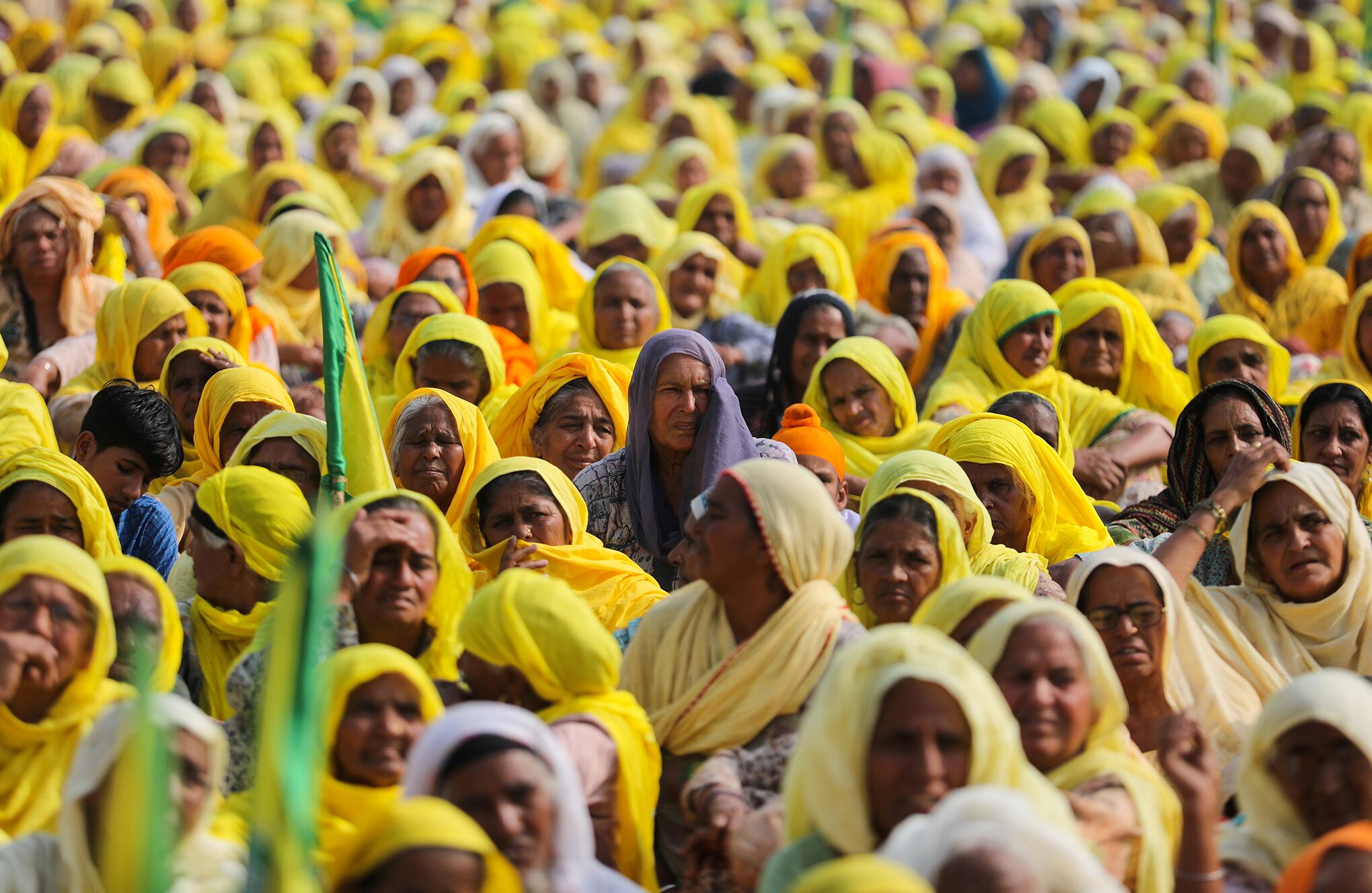 Fotos de la semana 26 nov