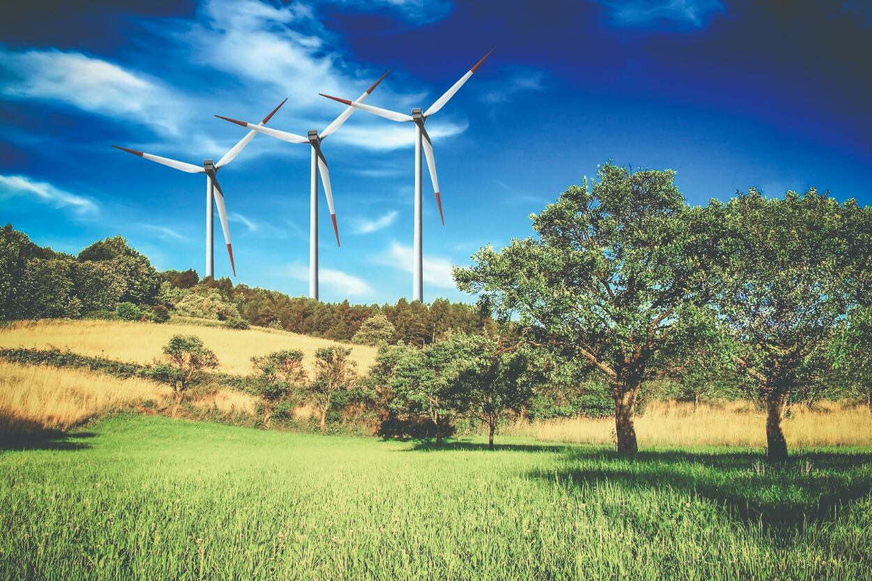 Repensar a las ciudades y que estas sean gestionadas a partir de entornos naturales es uno de los objetivos que se quieren alcanzar con encuentros como FIMA 2021.