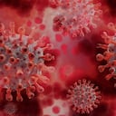 Siete virus más mortíferos que el covid-19 con los que la ciencia experimenta