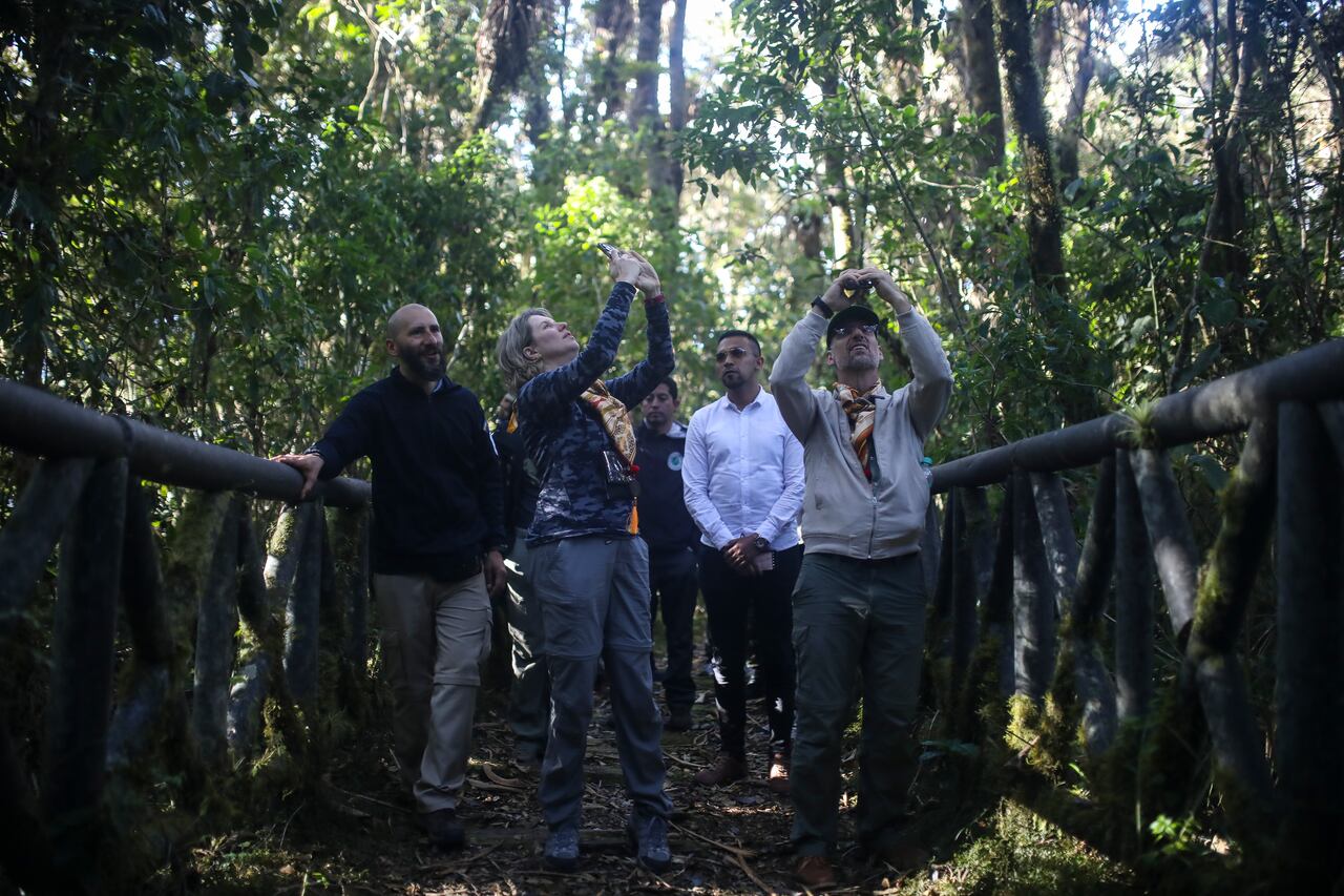 Jardín Botánico de Nueva York en Nariño
