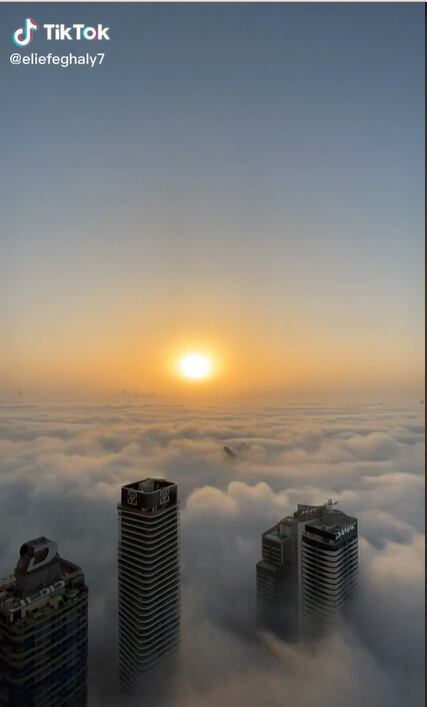 Tik Tok: @eliefeghaly7
