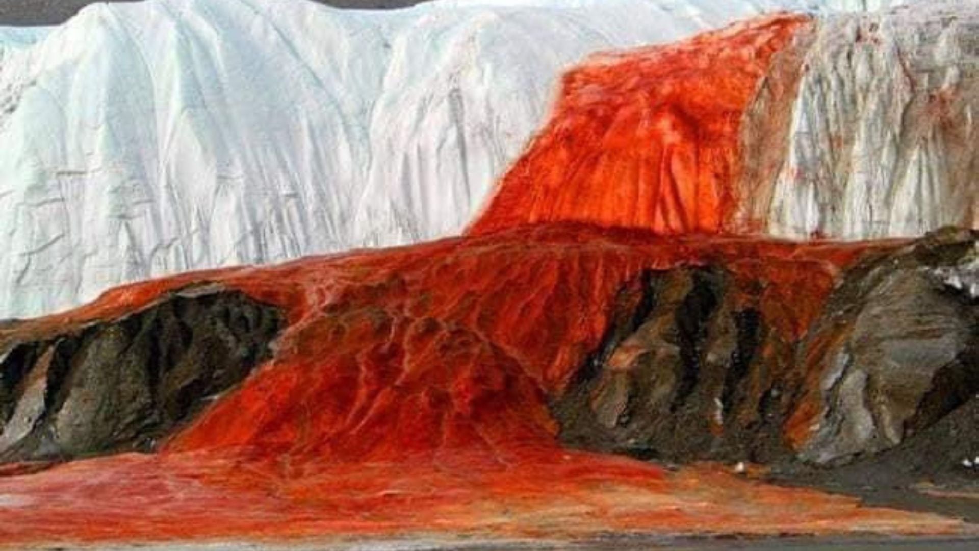Las llamadas “cataratas de sangre” son un fenómeno natural que ocurre en la Antártida.