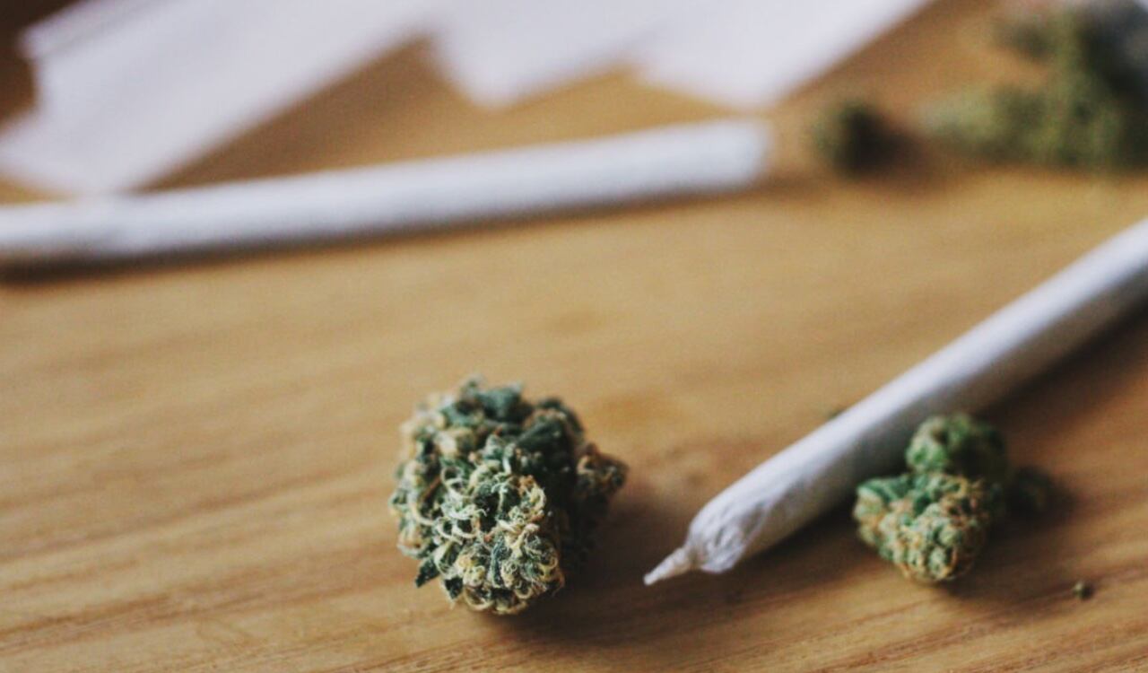 En 1971 el 20 de abril fue "declarado" como día Nacional de la Marihuana en Estados Unidos