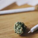 En 1971 el 20 de abril fue "declarado" como día Nacional de la Marihuana en Estados Unidos