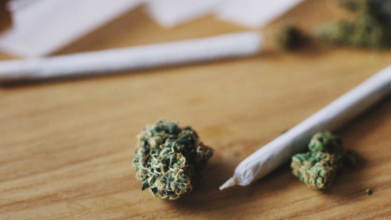 La marihuana es la sustancia ilícita de mayor consumo en Colombia. Aproximadamente el 62 % de los consumidores de marihuana son personas de entre 12 y 24 años.