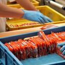 Los productos líderes en ventas son el Chocoramo, el ponqué gala y el ramo tradicional.