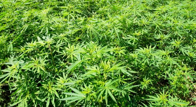 El proyecto ha logrado avanzar siete debates.