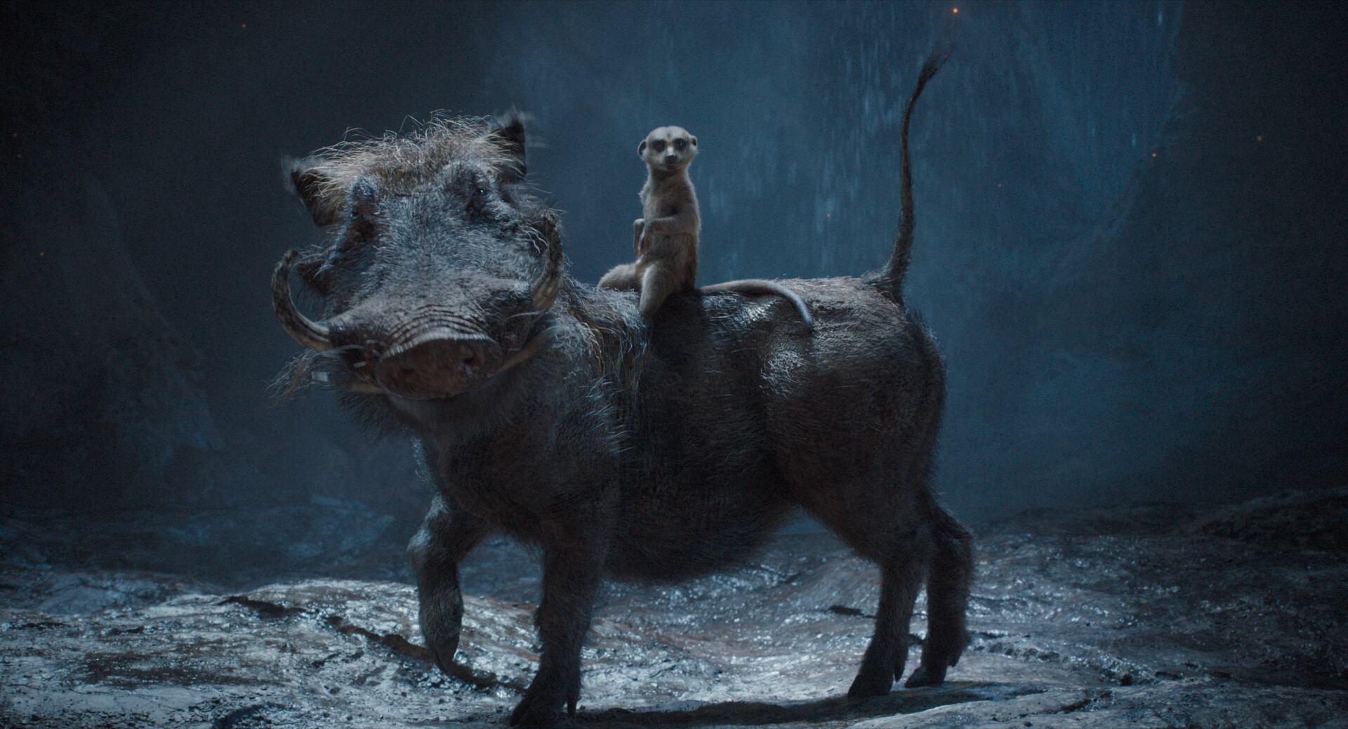 (L-R): Pumbaa (voiced by Seth Rogen) and Timon (voiced by Billy Eichner) in Disney’s live-action MUFASA: THE LION KING. Photo courtesy of Disney. © 2024 Disney Enterprises Inc. All Rights Reserved.