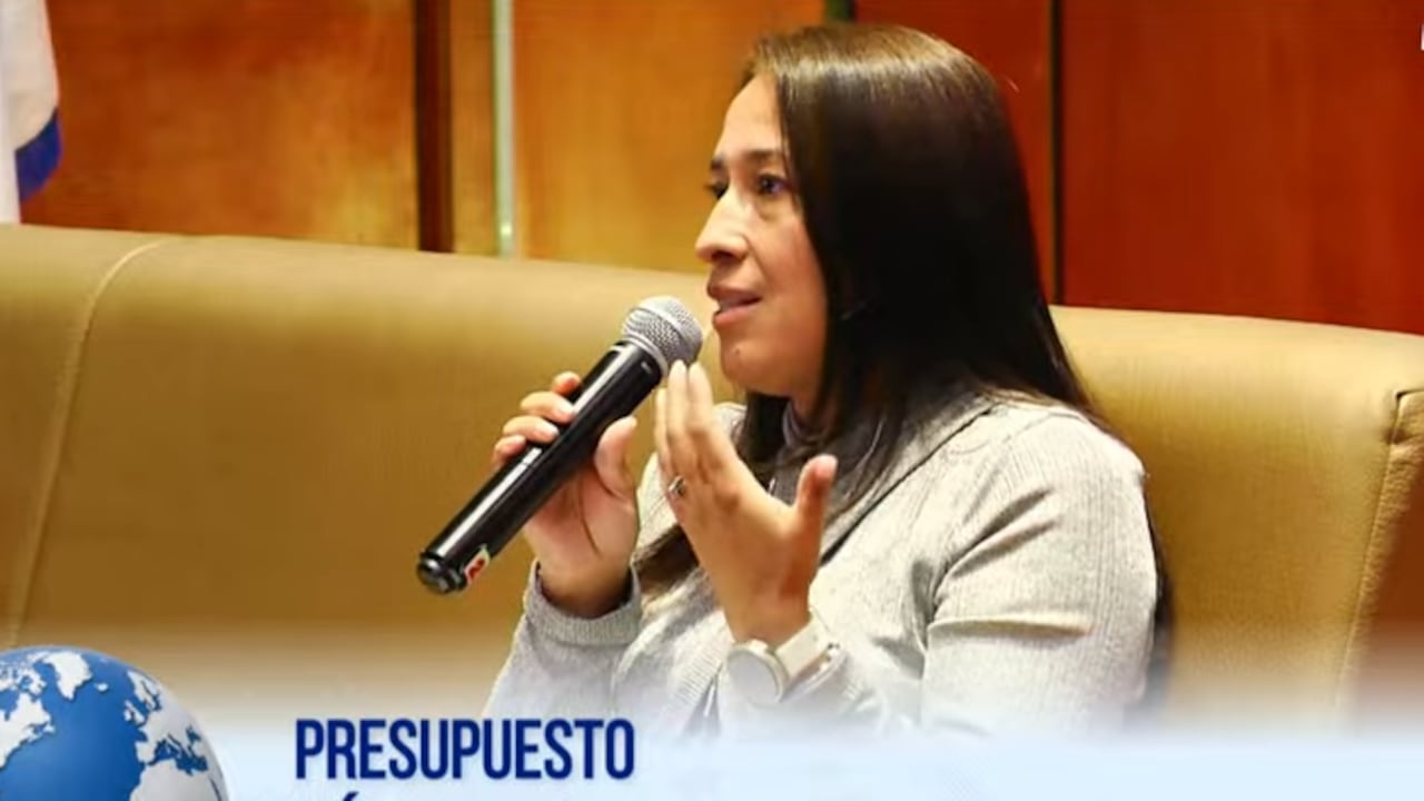 Martha García, subdirectora en DNP