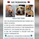 Toby fue robado este sábado en Bogotá.