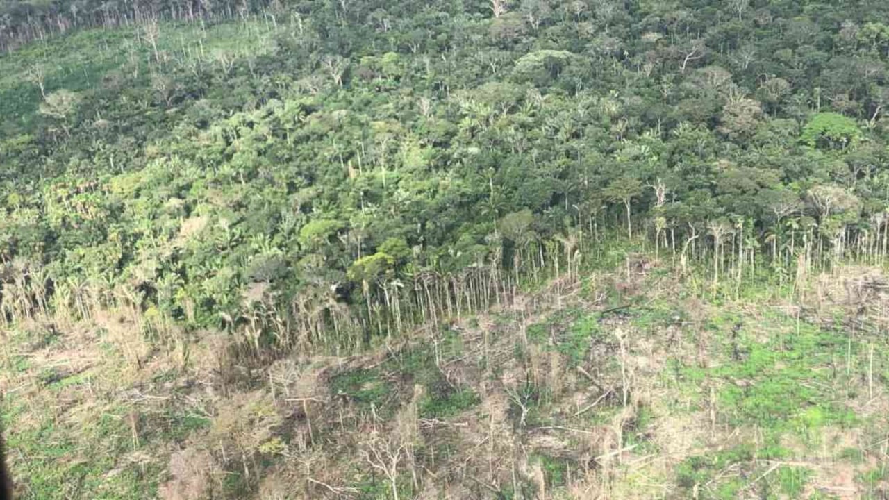 En la campaña del gobierno nacional para frenar la deforestación, también fueron inhabilitadas tres vías ilegales de dos kilo´metros de largo y desmanteladas varias construcciones dentro del área protegida. Foto: Fuerza de Tarea Conjunta Omega.