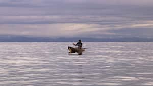 El Pacífico colombiano tiene más de 5 mil especies de plantas, el 17% de todas las que existen en Colombia.