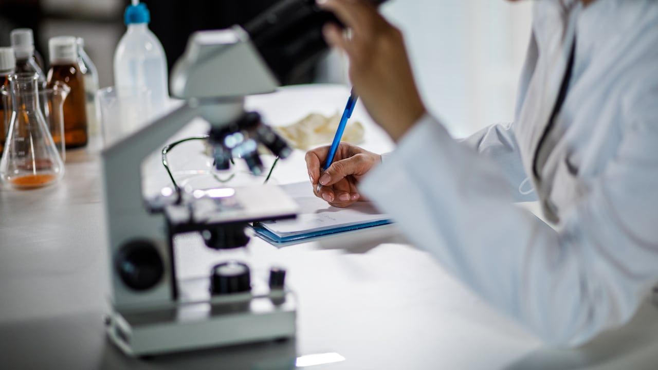 Autoridades de salud en Bogotá mantienen un seguimiento epidemiológico permanente frente al hantavirus, como medida preventiva ante el panorama internacional, sin casos confirmados en la capital.