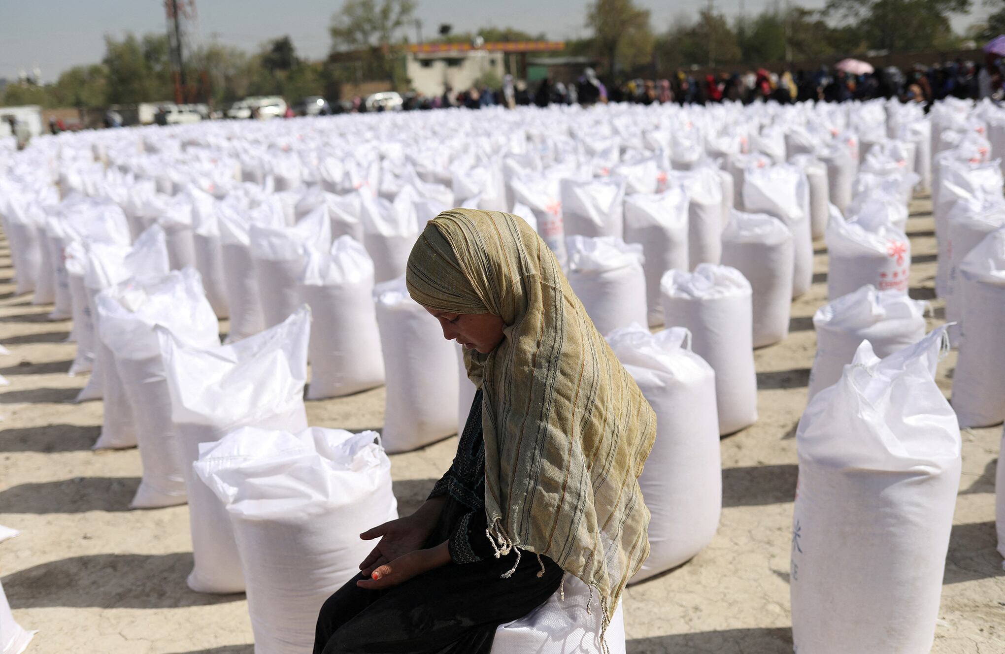 Fotos de la semana 8 abril