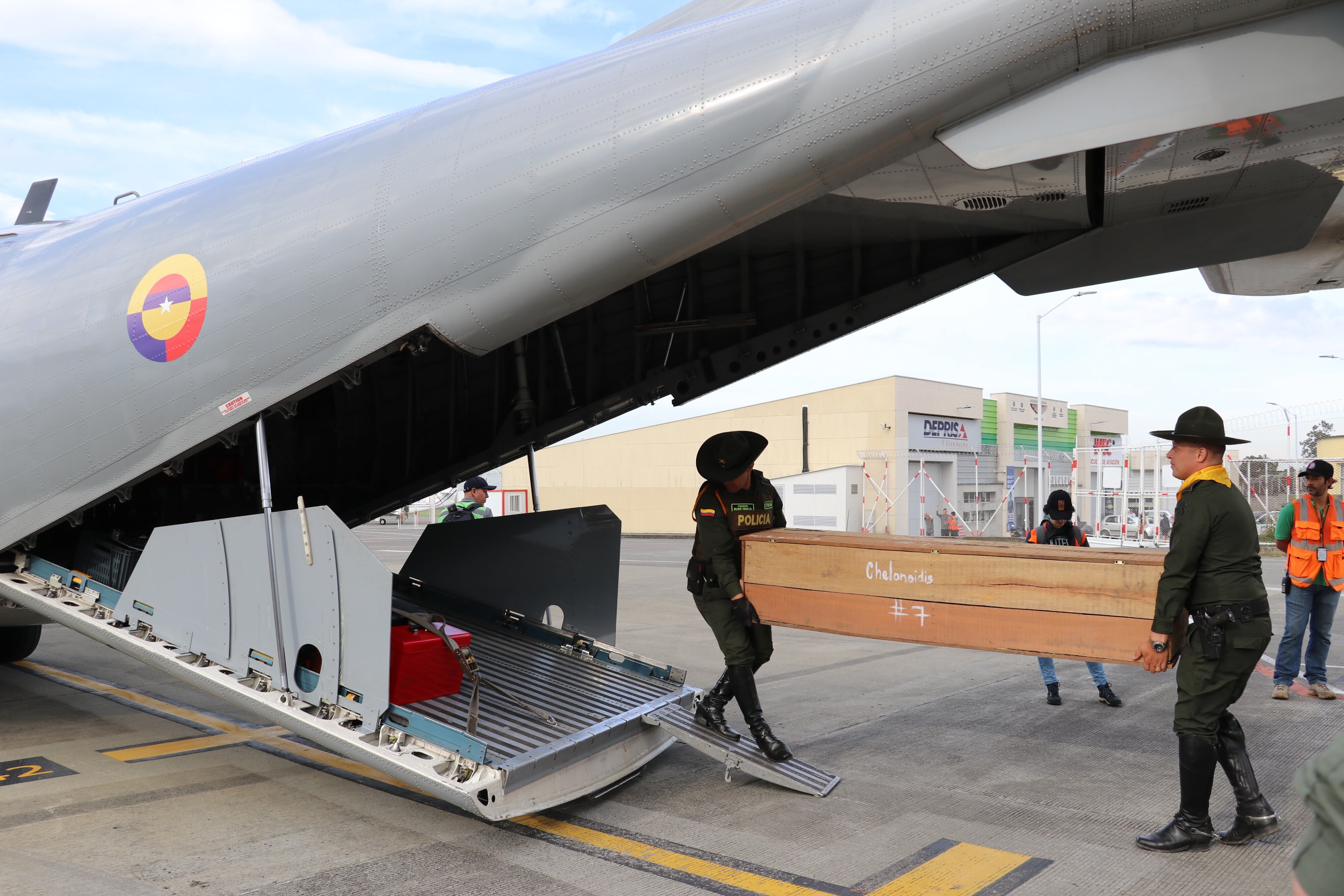 Los animales rescatados en Risaralda regresarán a la libertad en Casanare.